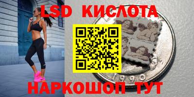 прущие грибы Кулебаки