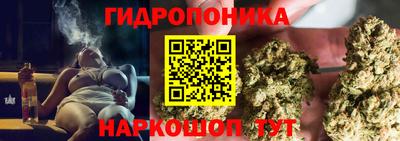прущие грибы Кулебаки