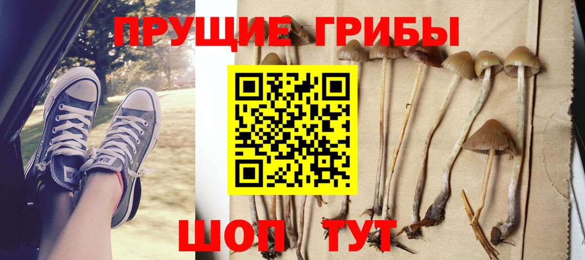 Псилоцибиновые грибы MAGIC MUSHROOMS  Псилоцибиновые грибы прущие грибы  Ефремов  Вход с VPN 